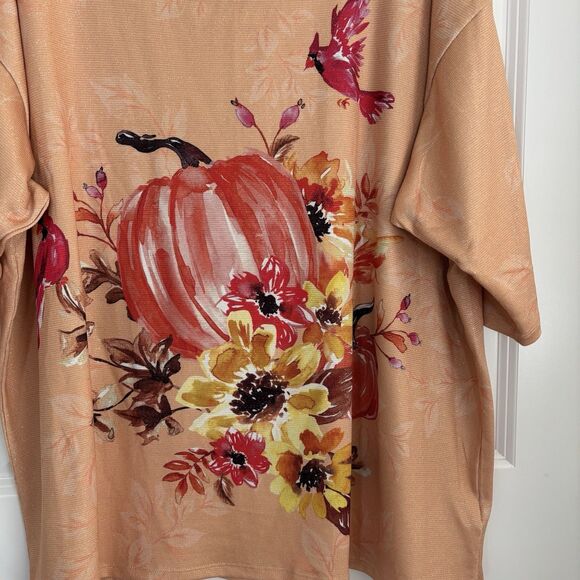 EMILY DANIELS WOMENS TOPS PULLOVER SCOOP NECK 3/4 SLEEVE FALL PUMPKING CARDINALS - Picture 5 of 7